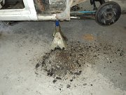 Datsun 1200  7-5-12 012_zpsjt05gtca